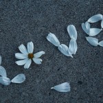 Women and Love, and Women in love; What’s it really about?